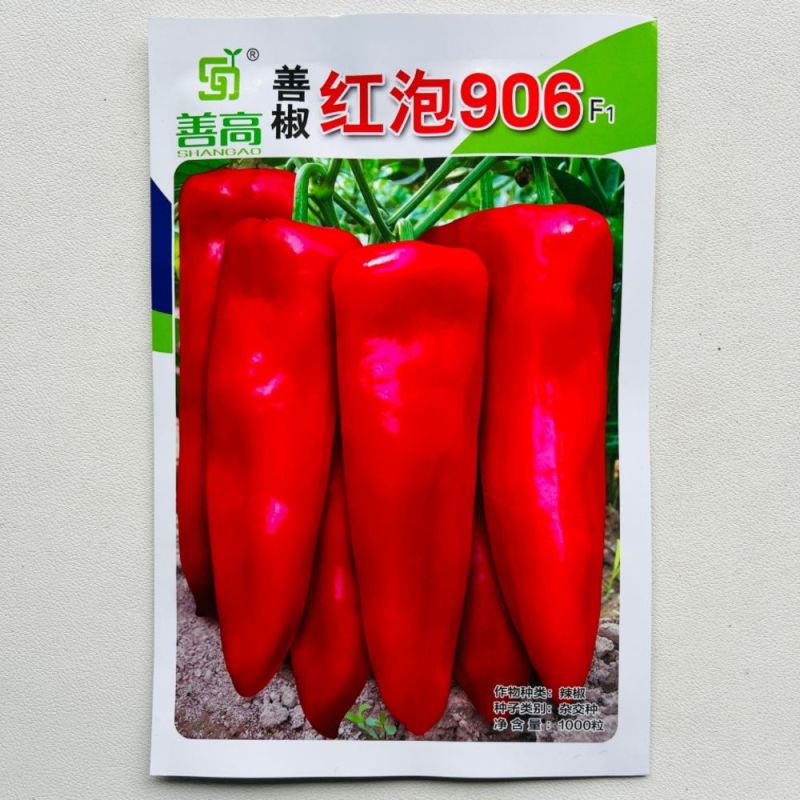 红泡906辣椒种子中早熟牛角椒种籽果肉厚春秋播青红椒种子