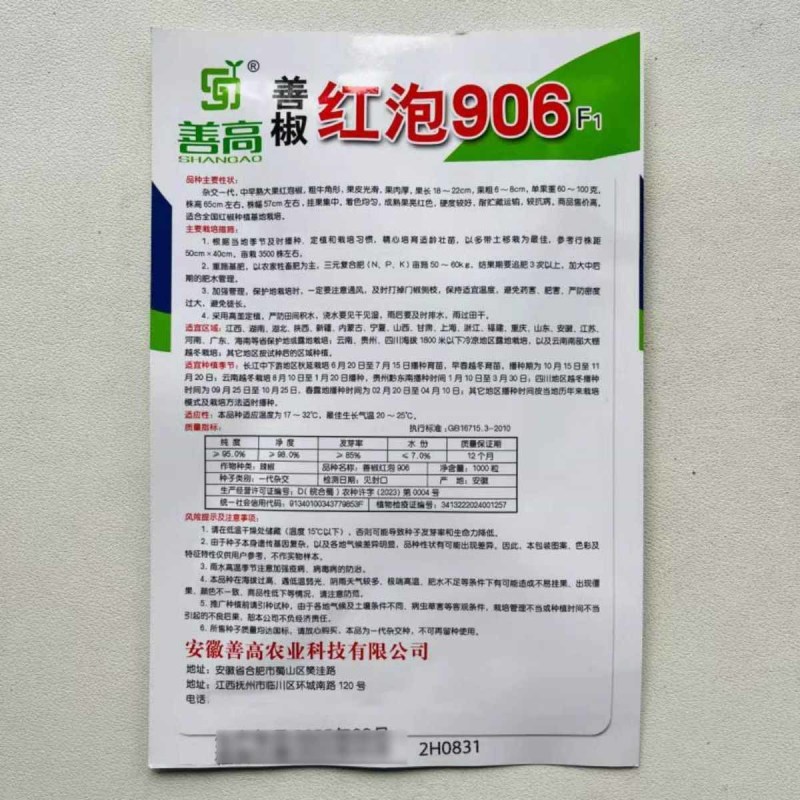 红泡906辣椒种子中早熟牛角椒种籽果肉厚春秋播青红椒种子