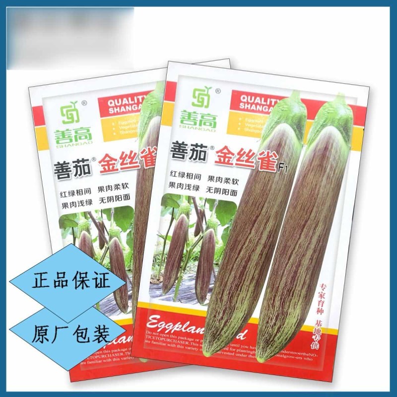 金丝雀竹丝茄种子果风柔软红绿相间口感好高产长茄种子