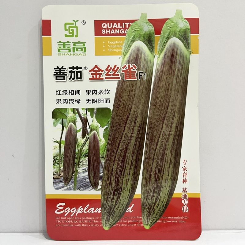 金丝雀竹丝茄种子果风柔软红绿相间口感好高产长茄种子