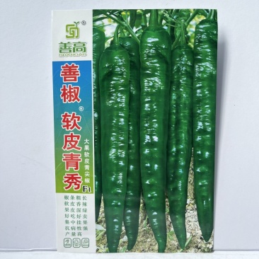 软皮青秀大果软皮长羊角形尖椒种子皮薄质脆软皮辣椒种子