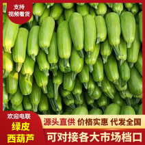 【推荐】山东聊城精品新鲜绿皮西葫芦万亩基地直供