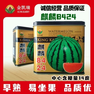 麒麟8424西瓜种子高产酥脆皮薄抗裂大果麒麟西瓜种籽