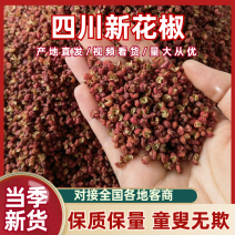 当季新货四川新花椒，红花椒，麻椒，香麻椒