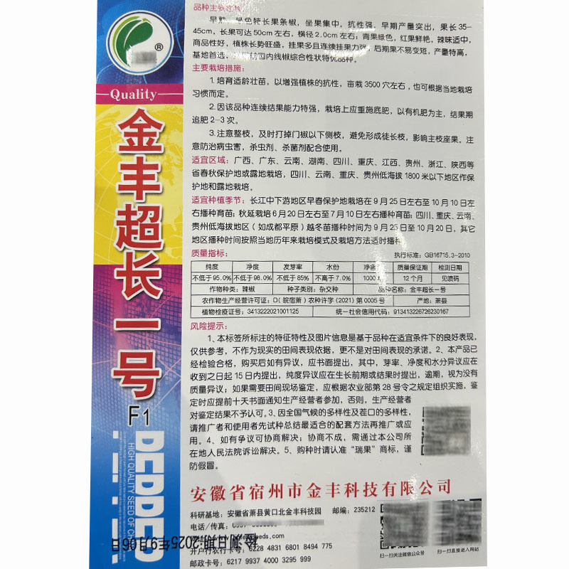 金丰长线一号长螺丝椒种子香辣早熟坐果集中抗病高产大田基地