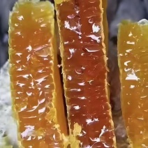 《土蜂蜜》武宁土蜂蜜/精选土蜂蜜/电商团购一件批发价便宜