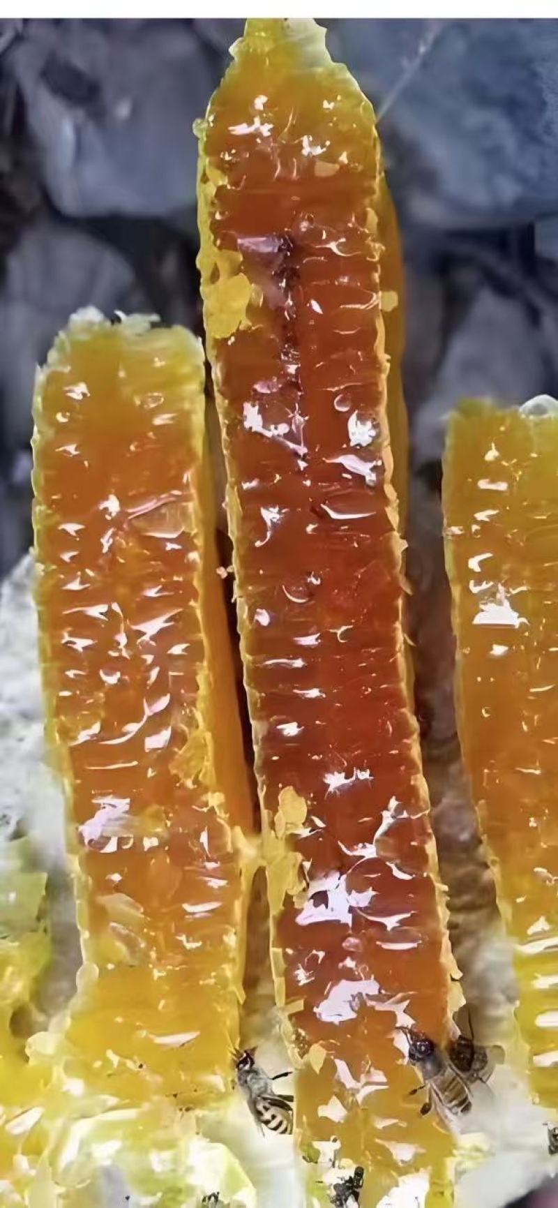 《土蜂蜜》武宁土蜂蜜/精选土蜂蜜/电商团购一件批发价便宜