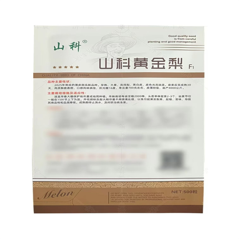 山科黄金梨甜瓜种子薄皮香瓜种子基地高产早熟大果黄白皮