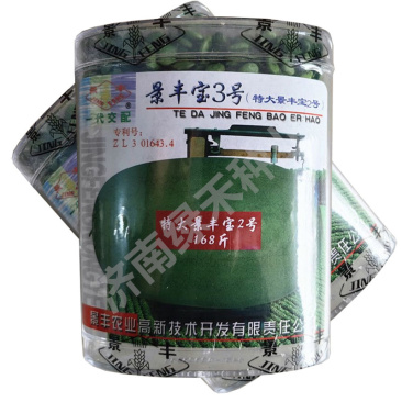 景丰3号西瓜种子50g大果少籽抗枯萎高产基地专用品种