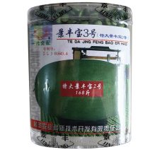 景丰宝3号西瓜种子特大景丰宝2号早熟50g抗病高产