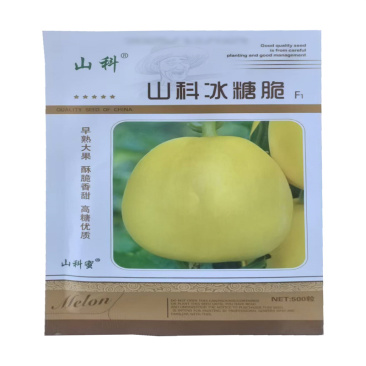 山科冰糖脆甜瓜种子早熟大果高糖白肉白瓤基地高产香瓜种子