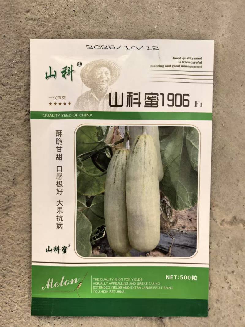 羊角蜜甜瓜种子山科蜜1906羊角酥香瓜种子中早熟薄皮果肉