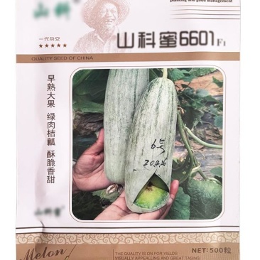 山科蜜6601甜瓜种子薄皮大果羊角蜜甜瓜种子羊角酥香种子