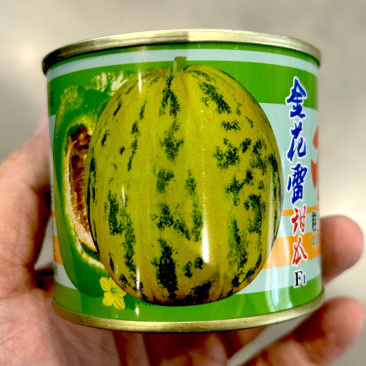 金花雷甜瓜种子花皮香瓜种子基地高产脆肉甜瓜种子