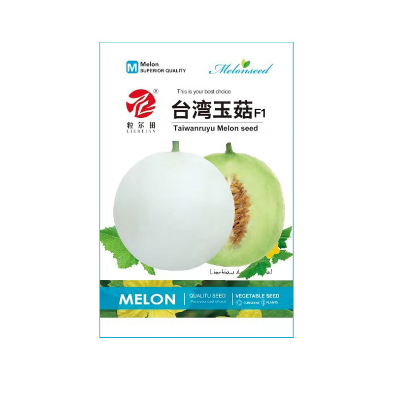 台湾玉菇甜瓜种子冰激凌甜瓜种子白皮透绿绿肉香甜糯春秋大棚