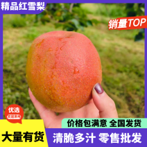 精品红雪梨红雪梨大量上市需要联系产地直供