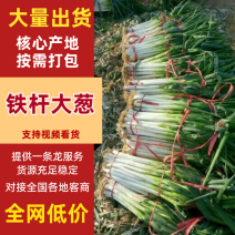 大葱产地直供，量大从优铁杆大葱，货真价实，欢迎采