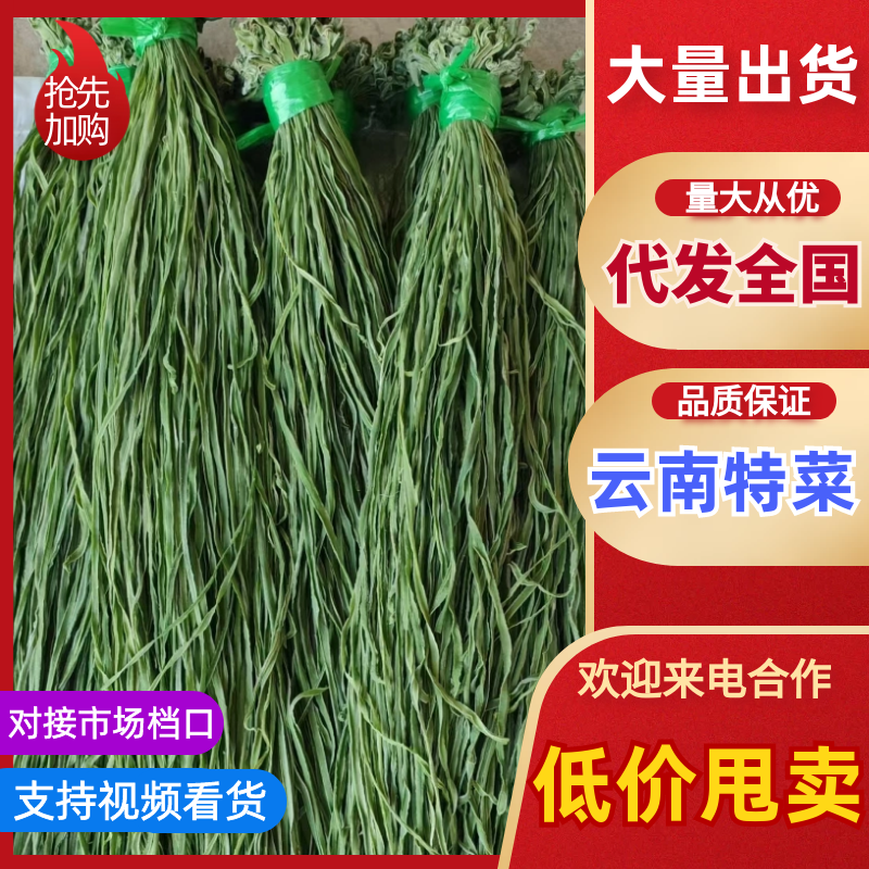 云南大理贡菜产区需要联系产地直发脆嘎嘎脆