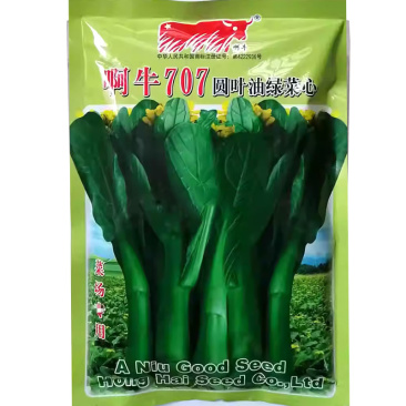啊牛707圆叶油绿菜心种子甜菜心种籽圆叶型菜苔粗壮