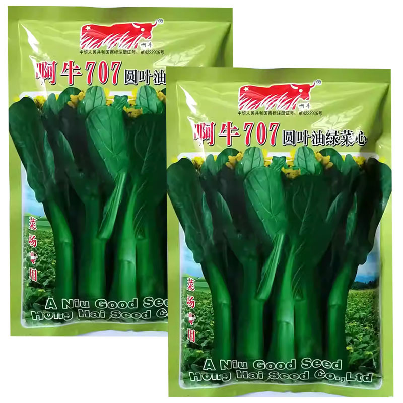 啊牛707圆叶油绿菜心种子甜菜心种籽圆叶型菜苔粗壮