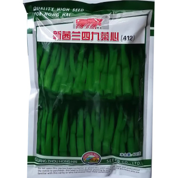 新西兰四九菜心种子粗条甜菜苔种子生长快速高产抗病