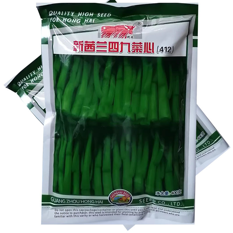 新西兰四九菜心种子粗条甜菜苔种子生长快速高产抗病
