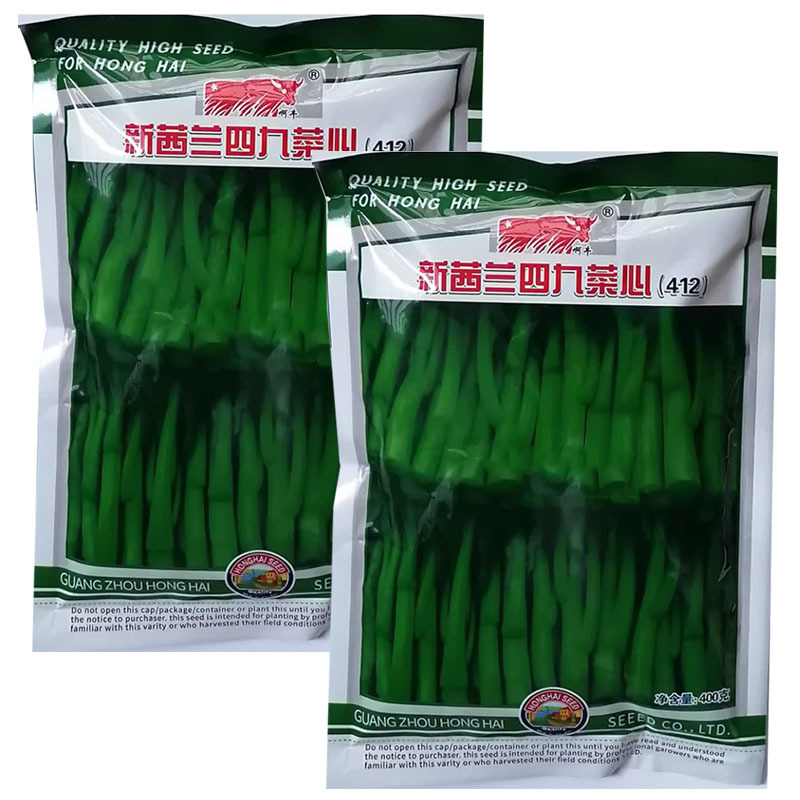 新西兰四九菜心种子粗条甜菜苔种子生长快速高产抗病