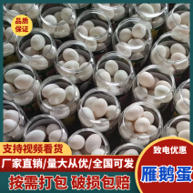 【海量货源】山东雁鹅蛋大桶蛋泡沫盒平台专社区团购批发