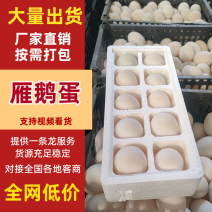 【荐】鹅蛋，雁鹅蛋，盒装鹅蛋，团购平台转供网红盒装雁鹅蛋