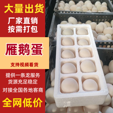 【荐】鹅蛋，雁鹅蛋，盒装鹅蛋，团购平台转供网红盒装雁鹅蛋