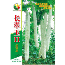 长翠玉2号白苦瓜种子早中熟长白苦瓜杂交10g挂果多