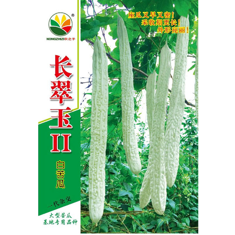 长翠玉2号白苦瓜种子早中熟长白苦瓜杂交10g挂果多