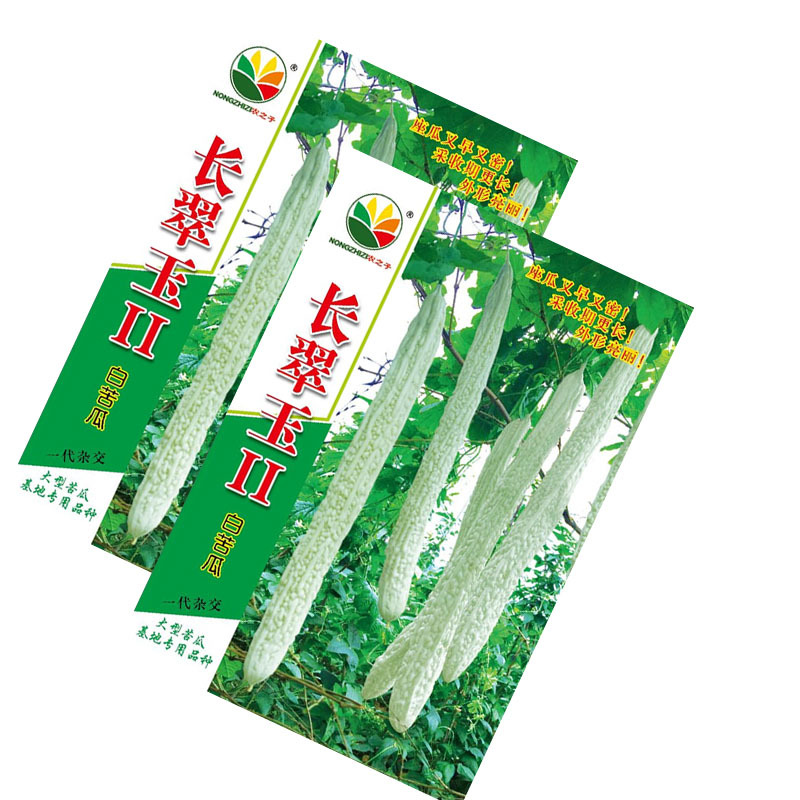 长翠玉2号白苦瓜种子早中熟长白苦瓜杂交10g挂果多