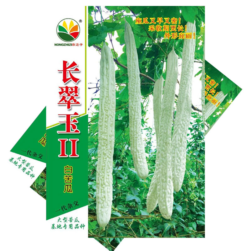 长翠玉2号白苦瓜种子早中熟长白苦瓜杂交10g挂果多