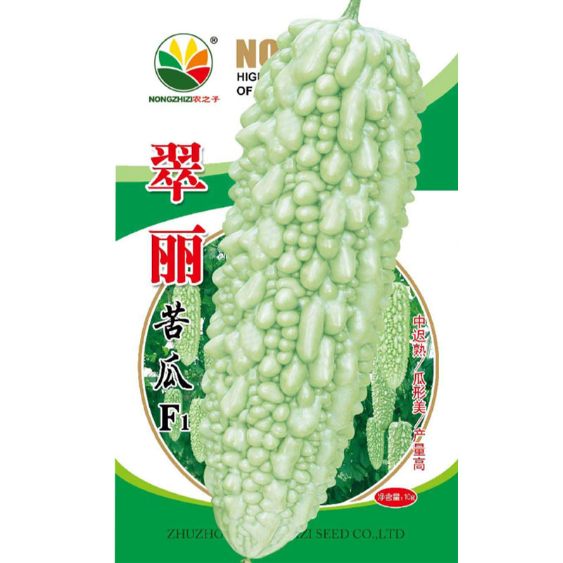 翠丽珍珠苦瓜种子迟熟短棒白苦瓜籽杂交丰产基地型