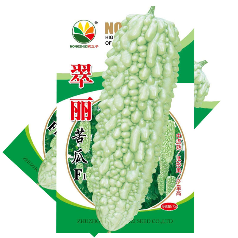 翠丽珍珠苦瓜种子迟熟短棒白苦瓜籽杂交丰产基地型