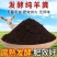 纯羊粪发酵肥料养花种菜花卉蔬菜果树盆栽家用型有机肥