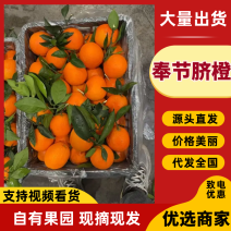 奉节脐橙橙子产地直发规格齐全保质保量对接全国