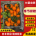 奉节脐橙橙子产地直发规格齐全保质保量对接全国