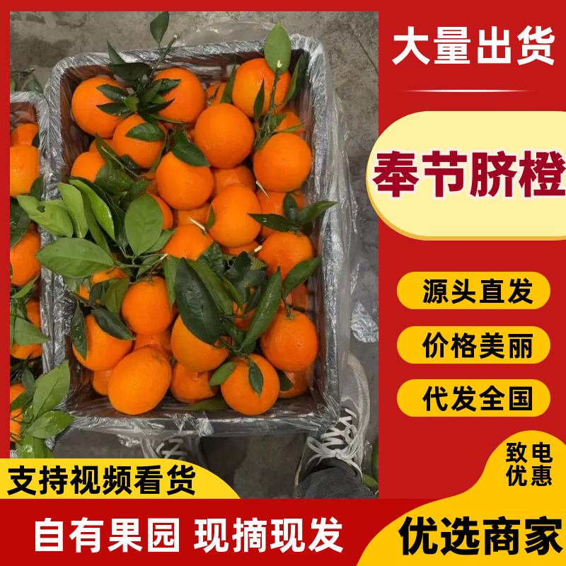 奉节脐橙橙子产地直发规格齐全保质保量对接全国
