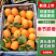 【精选】奉节脐橙橙子货源充足对接加工厂电商市场等