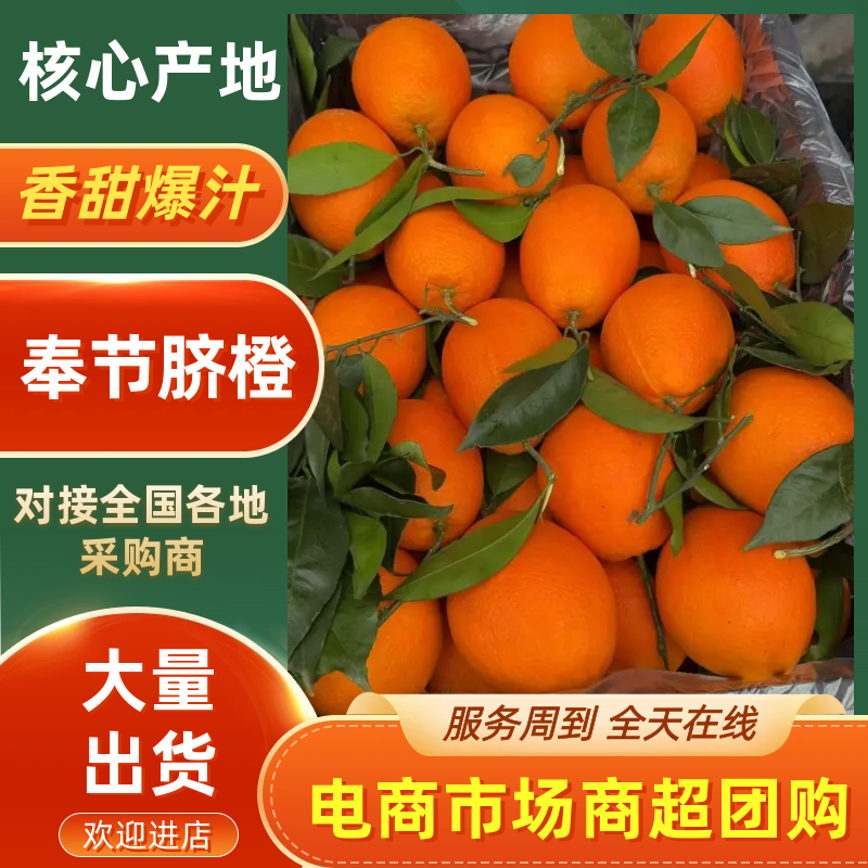 优质橙子奉节脐橙商品果二级果一树小果次果规格齐全