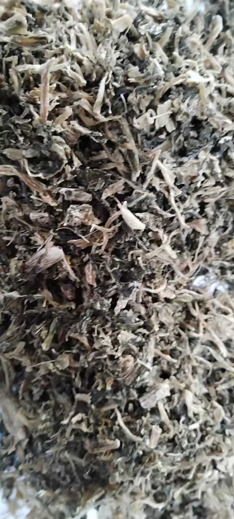 厂家直供雪里红梅干菜干净无杂无老梗无沙整颗切段散装打包
