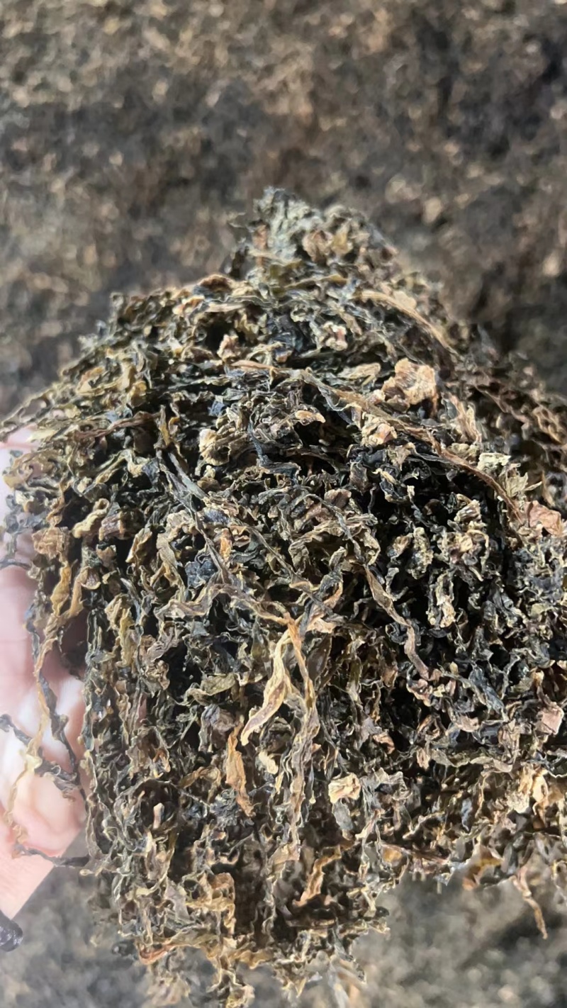 厂家直供雪里红梅干菜干净无杂无老梗无沙整颗切段散装打包
