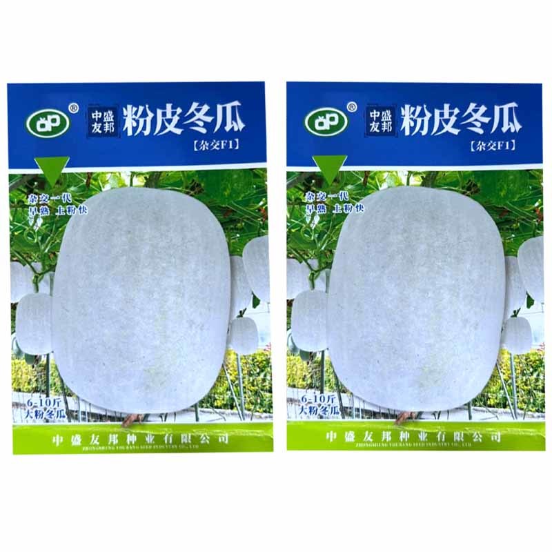 粉皮冬瓜种子杂交早熟上粉快肉厚肉质紧密抗病白皮大冬瓜种子