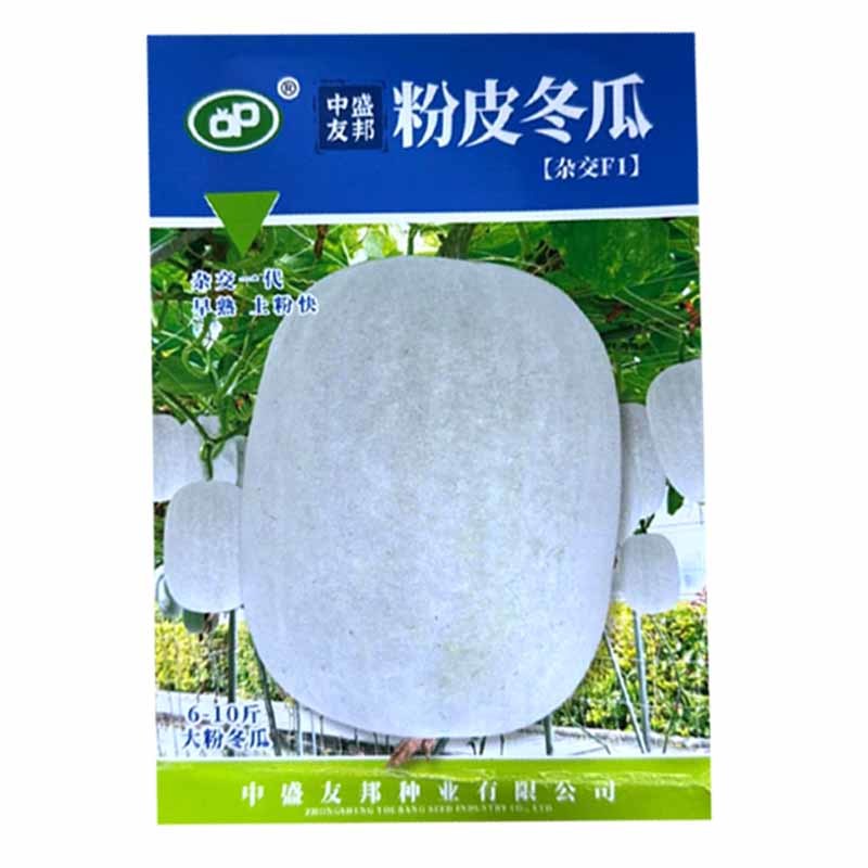粉皮冬瓜种子杂交早熟上粉快肉厚肉质紧密抗病白皮大冬瓜种子