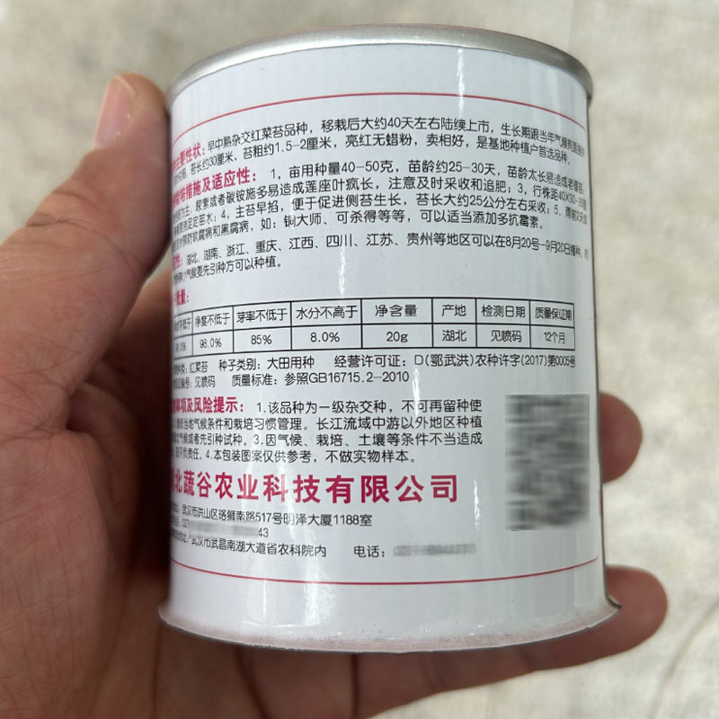 蔬谷精品靓红6号红菜苔20克早中熟大田基地品种