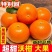 四川沃柑果色靓丽皮干净无水伤疤痕大小规格都有承接电商商超带货