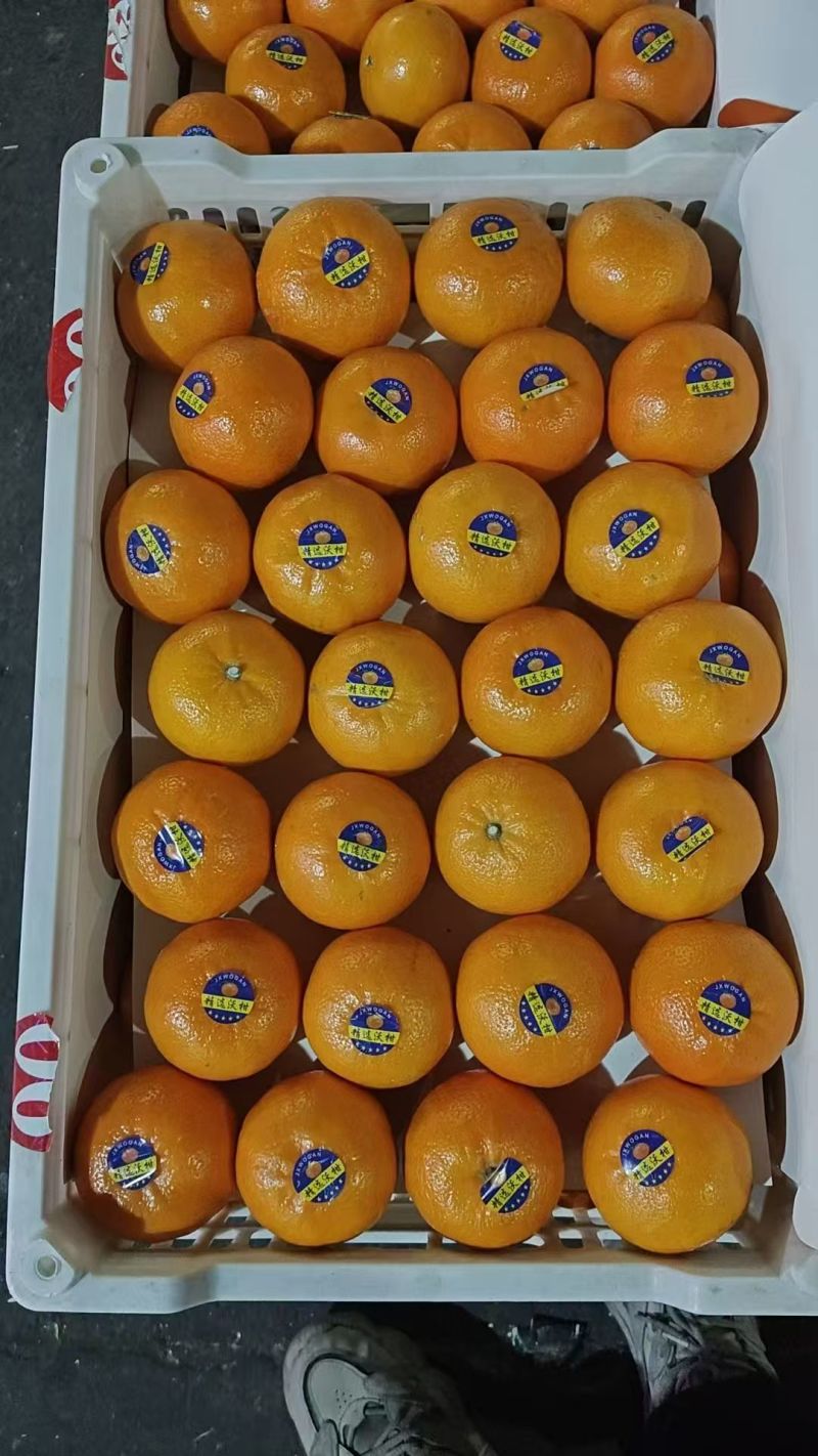 四川沃柑果色靓丽皮干净无水伤疤痕大小规格都有承接电商商超带货