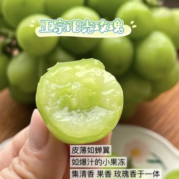 《阳光玫瑰》陕西阳光玫瑰/蒲城葡萄/电商团购